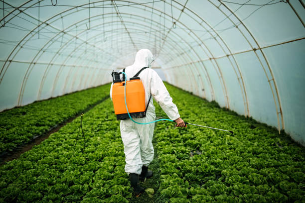 Best Ant Control Services  in Stirling, NJ