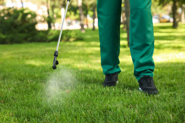 Best Affordable Pest Control Services  in Stirling, NJ