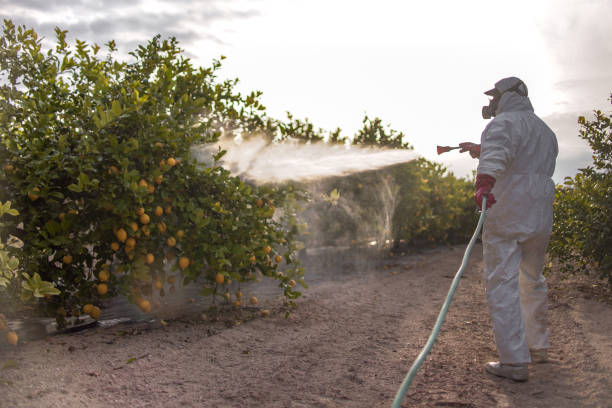 Best Pest Inspection Near Me  in Stirling, NJ