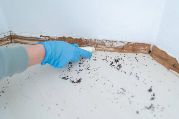 Best Pest Prevention Services  in Stirling, NJ